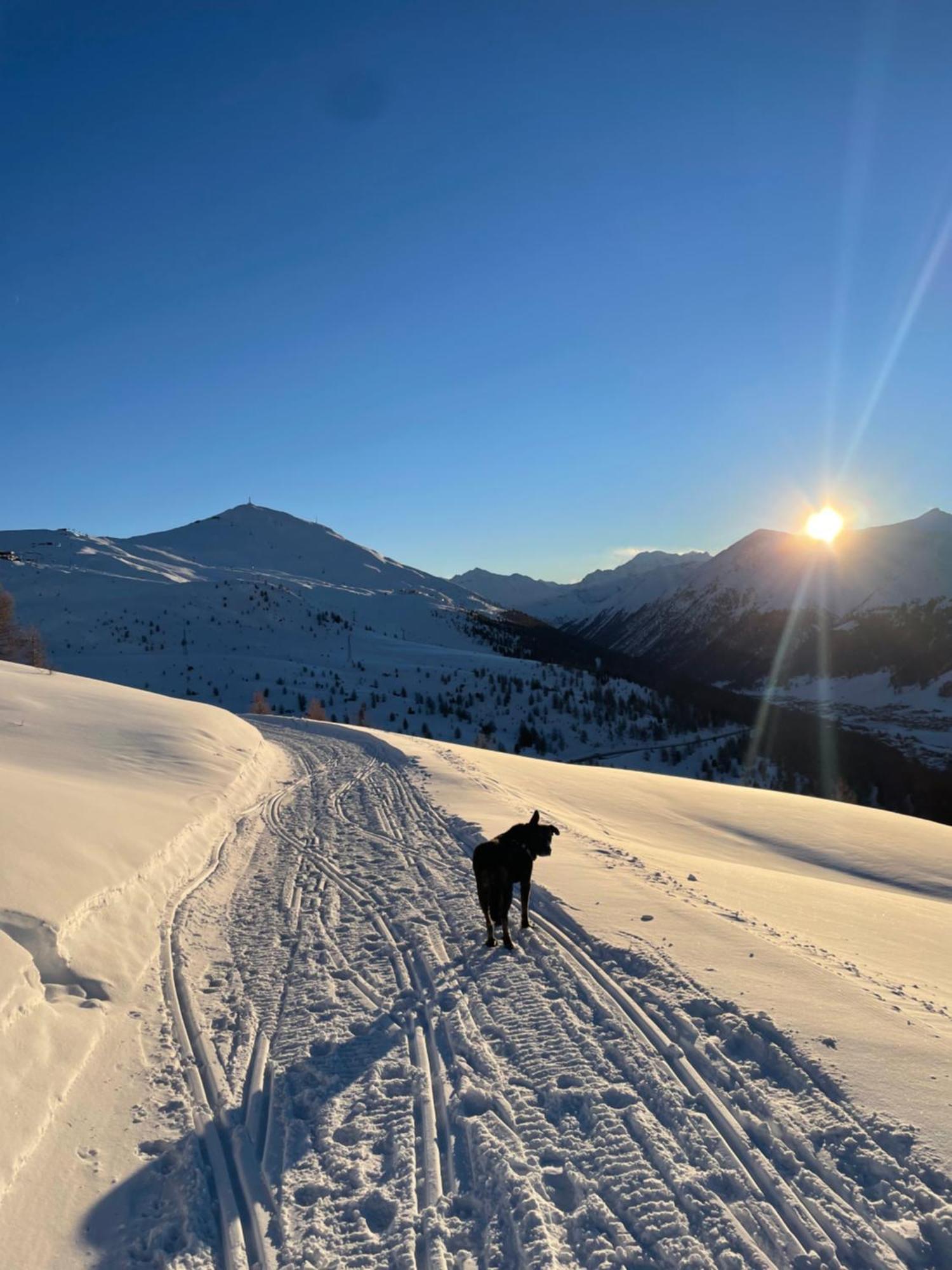 Residence S Lucia - Appartamenti Alle Porte Di Bormio Valdisotto Dış mekan fotoğraf