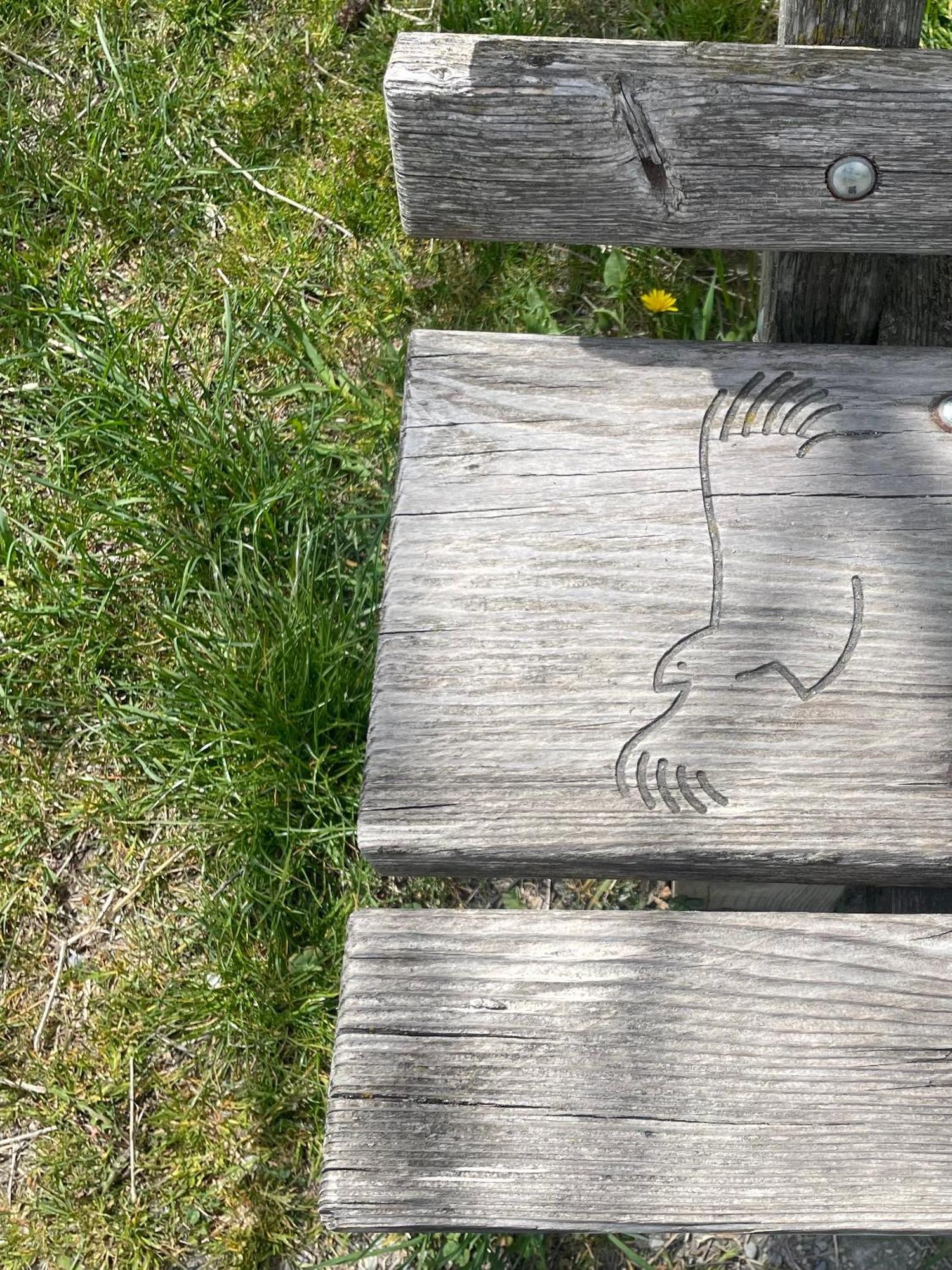 Residence S Lucia - Appartamenti Alle Porte Di Bormio Valdisotto Dış mekan fotoğraf